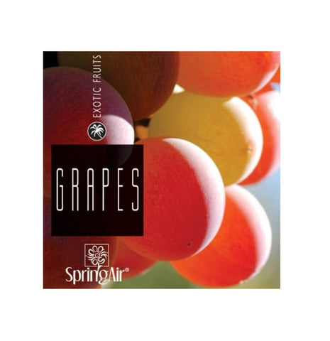 ULTRA SCENT 500ml Odorizant profesional  GRAPES - Gama EXOTIC FRUITS