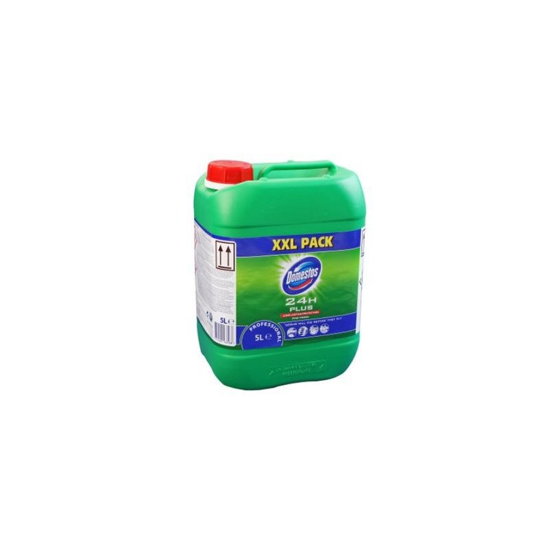 Dezinfectant 24H Pine Fresh 5L, Professional Domestos
